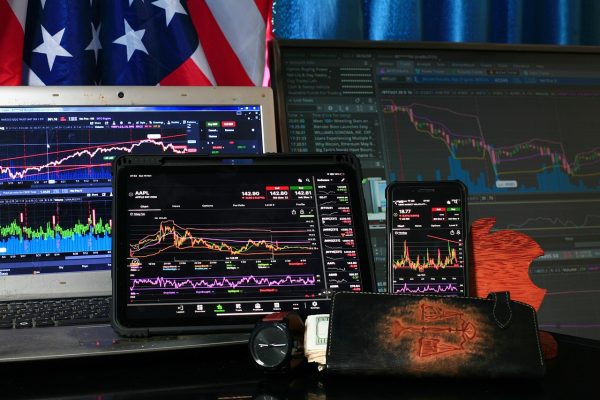 Unveiling the Enigma of Crypto Assets: A Beginner’s Guide to Digital Wealth